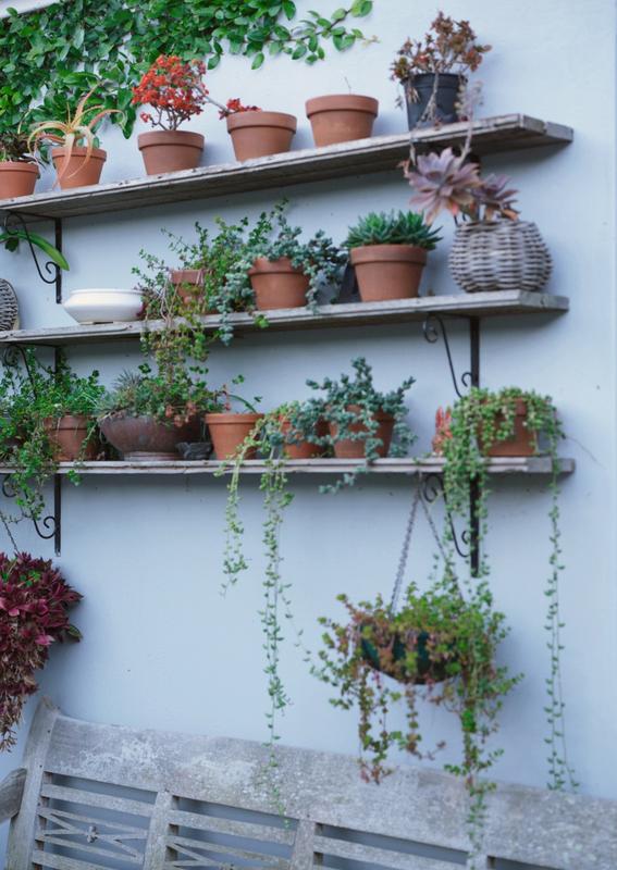 To Let 5 Bedroom Property for Rent in Tokai Western Cape